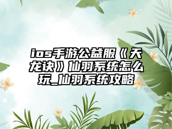 ios手游公益服《天龙诀》仙羽系统怎么玩_仙羽系统攻略