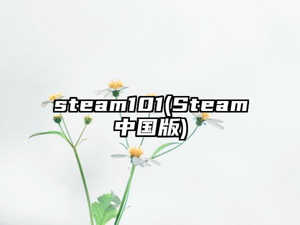 steam101(Steam中国版)