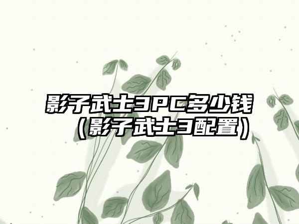 影子武士3PC多少钱（影子武士3配置）
