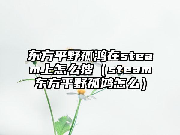 东方平野孤鸿在steam上怎么搜（steam东方平野孤鸿怎么）