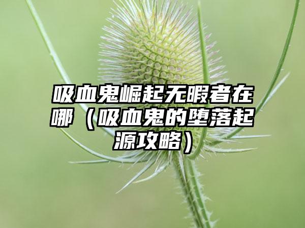 吸血鬼崛起无暇者在哪（吸血鬼的堕落起源攻略）