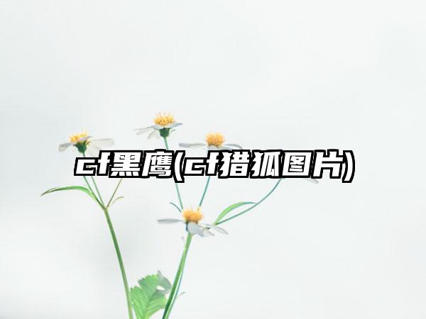 cf黑鹰(cf猎狐图片)