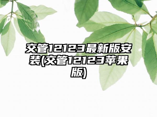 交管12123最新版安装(交管12123苹果版)