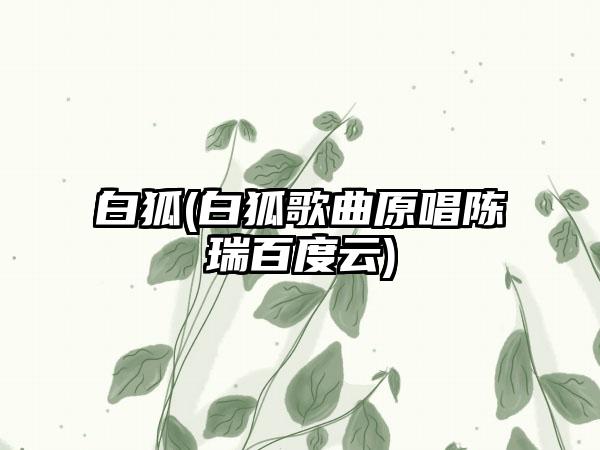 白狐(白狐歌曲原唱陈瑞百度云)