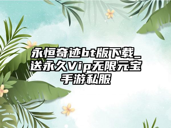 永恒奇迹bt版下载_送永久Vip无限元宝手游私服