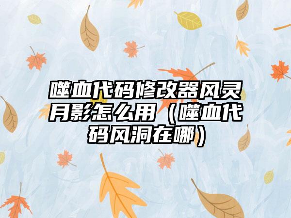 噬血代码修改器风灵月影怎么用（噬血代码风洞在哪）