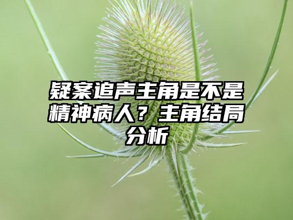疑案追声主角是不是精神病人？主角结局分析