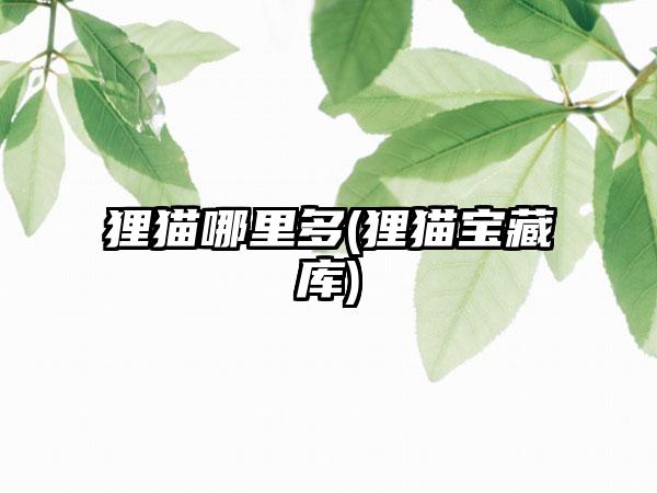 狸猫哪里多(狸猫宝藏库)