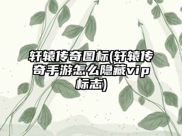 轩辕传奇图标(轩辕传奇手游怎么隐藏vip标志)