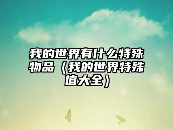 我的世界有什么特殊物品（我的世界特殊值大全）