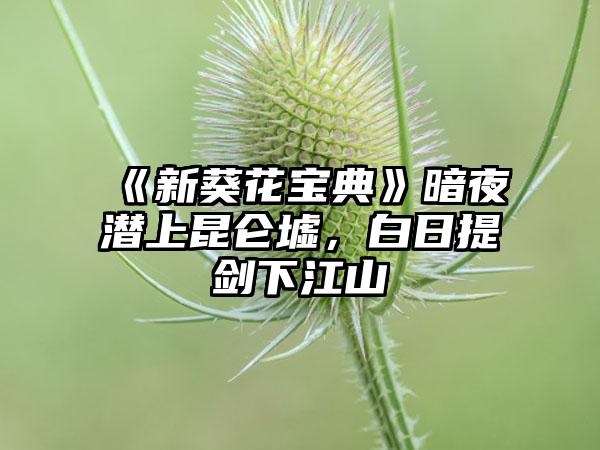 《新葵花宝典》暗夜潜上昆仑墟，白日提剑下江山