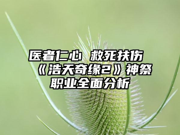 医者仁心 救死扶伤 《浩天奇缘2》神祭职业全面分析
