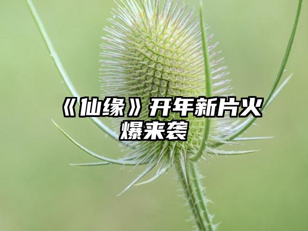 《仙缘》开年新片火爆来袭