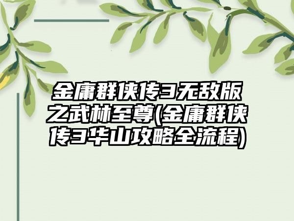 金庸群侠传3无敌版之武林至尊(金庸群侠传3华山攻略全流程)