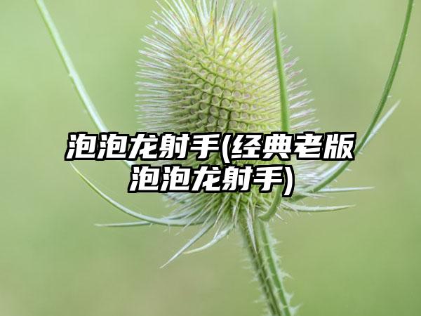 泡泡龙射手(经典老版泡泡龙射手)