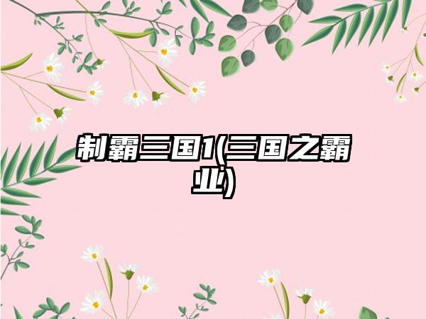 制霸三国1(三国之霸业)