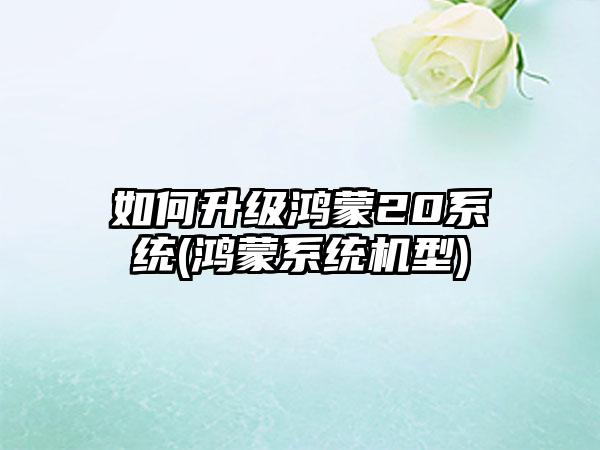 如何升级鸿蒙20系统(鸿蒙系统机型)
