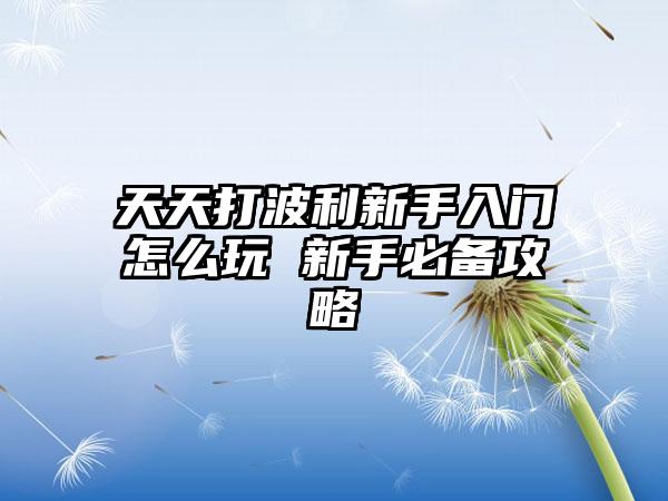 天天打波利新手入门怎么玩 新手必备攻略