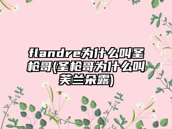 flandre为什么叫圣枪哥(圣枪哥为什么叫芙兰朵露)