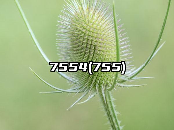 7554(755)