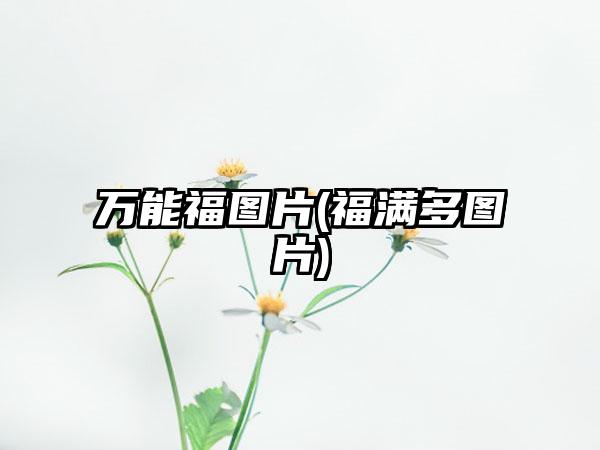 万能福图片(福满多图片)