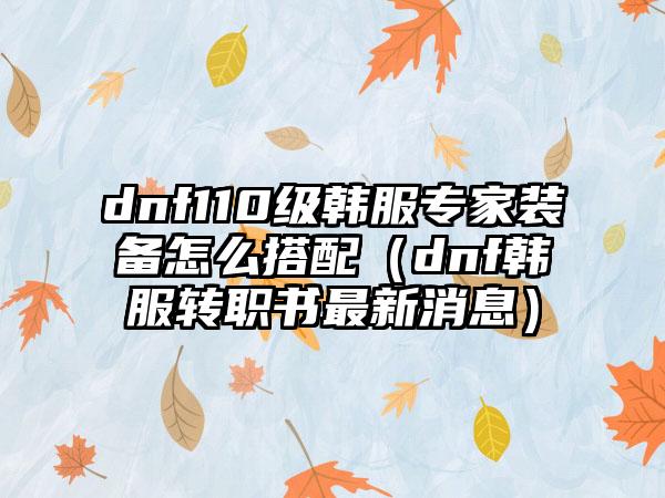 dnf110级韩服专家装备怎么搭配（dnf韩服转职书最新消息）