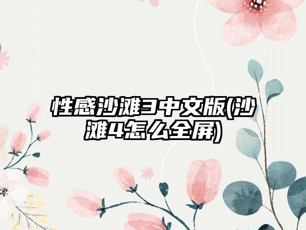 性感沙滩3中文版(沙滩4怎么全屏)