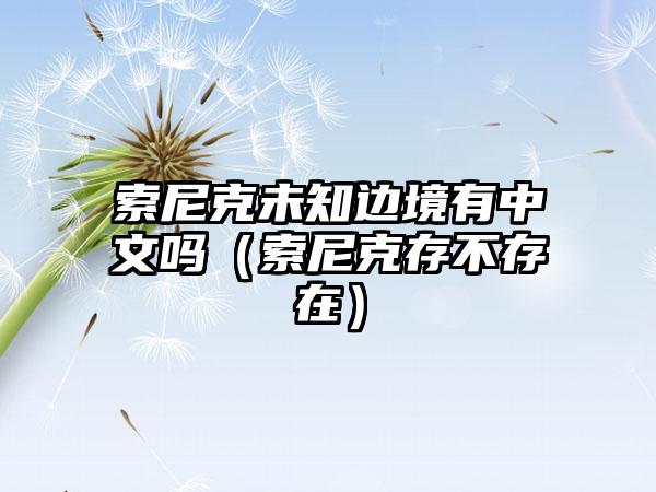 索尼克未知边境有中文吗（索尼克存不存在）