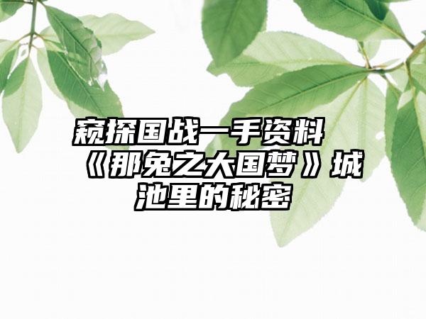 窥探国战一手资料《那兔之大国梦》城池里的秘密