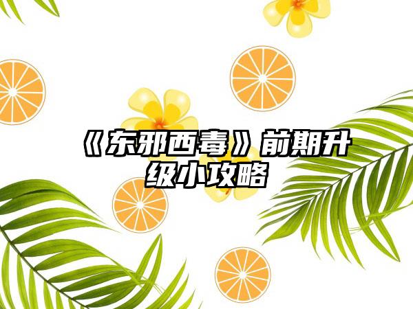《东邪西毒》前期升级小攻略
