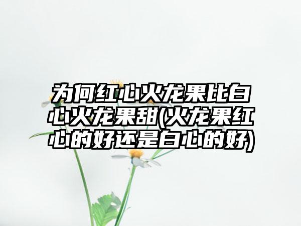 为何红心火龙果比白心火龙果甜(火龙果红心的好还是白心的好)