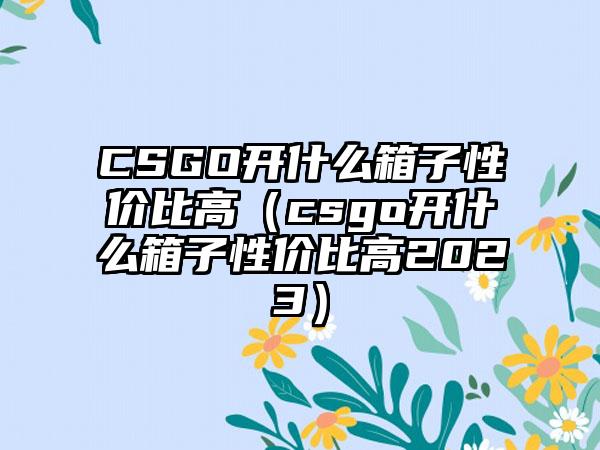 CSGO开什么箱子性价比高（csgo开什么箱子性价比高2023）