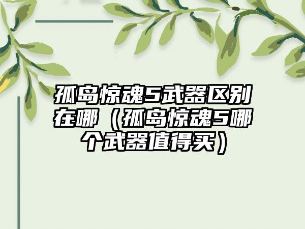 孤岛惊魂5武器区别在哪（孤岛惊魂5哪个武器值得买）