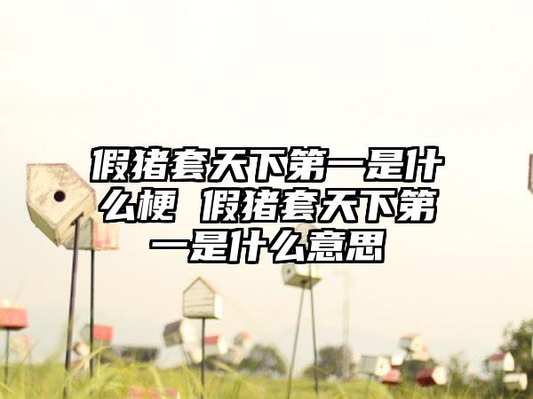 假猪套天下第一是什么梗 假猪套天下第一是什么意思
