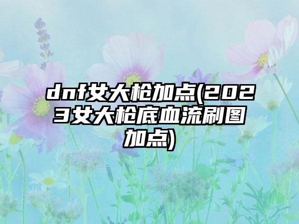 dnf女大枪加点(2023女大枪底血流刷图加点)