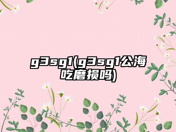 g3sg1(g3sg1公海吃磨损吗)