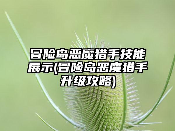 冒险岛恶魔猎手技能展示(冒险岛恶魔猎手升级攻略)