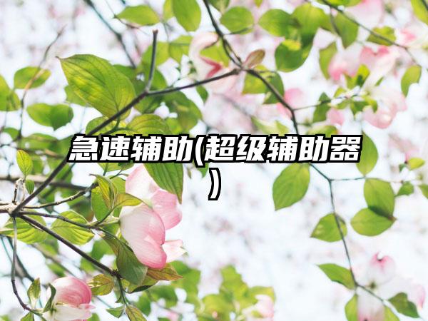 急速辅助(超级辅助器)