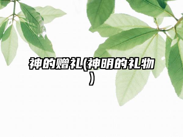 神的赠礼(神明的礼物)