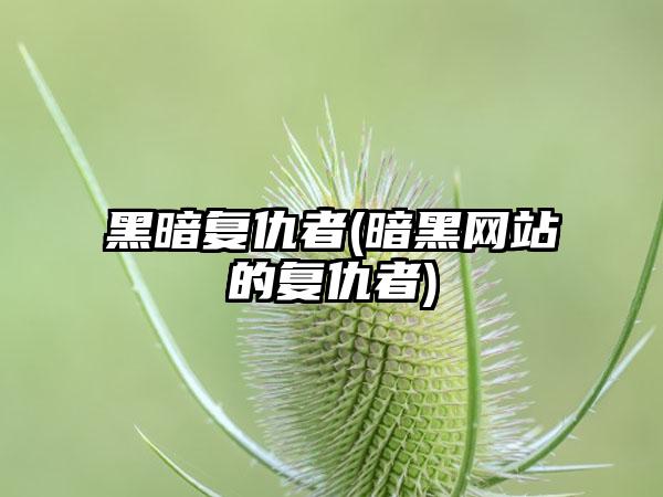 黑暗复仇者(暗黑网站的复仇者)