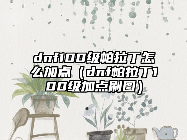 dnf100级帕拉丁怎么加点（dnf帕拉丁100级加点刷图）
