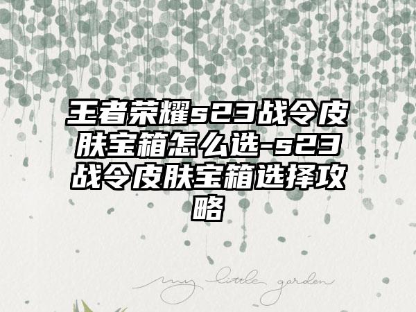 王者荣耀s23战令皮肤宝箱怎么选-s23战令皮肤宝箱选择攻略