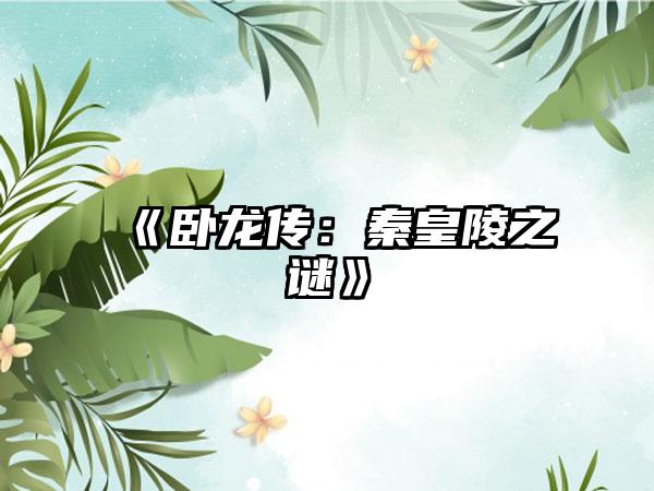 《卧龙传：秦皇陵之谜》