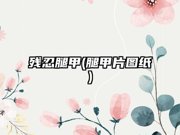 残忍腿甲(腿甲片图纸)