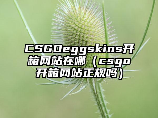 CSGOeggskins开箱网站在哪（csgo开箱网站正规吗）