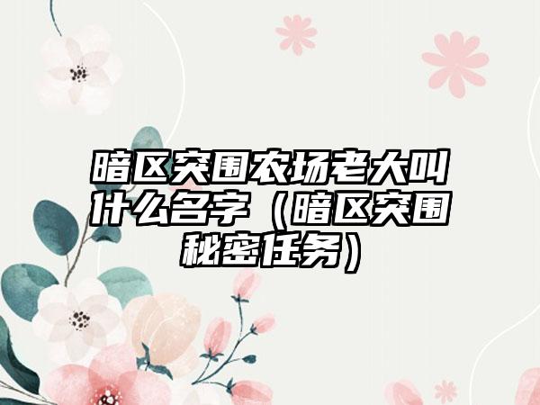 暗区突围农场老大叫什么名字（暗区突围秘密任务）