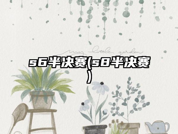 s6半决赛(s8半决赛)