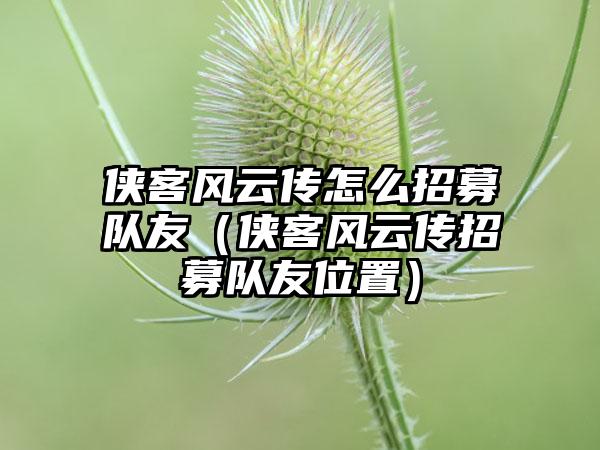 侠客风云传怎么招募队友（侠客风云传招募队友位置）