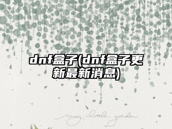 dnf盒子(dnf盒子更新最新消息)
