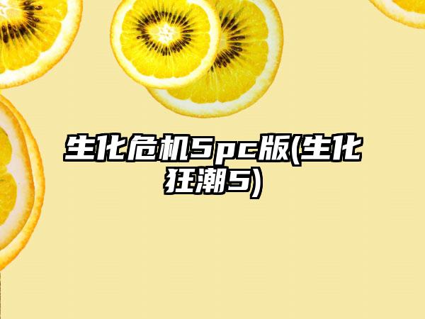 生化危机5pc版(生化狂潮5)